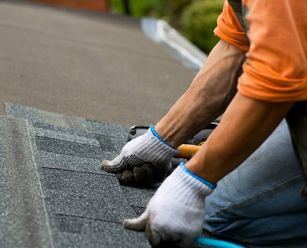 Best Roof Leak Repair  in Shawnee, KS