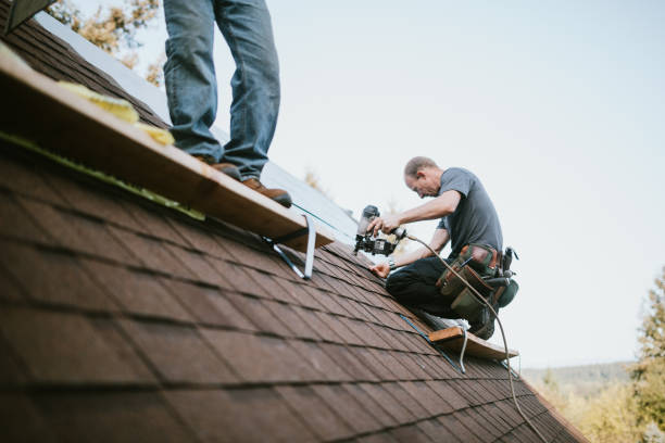 Best Roof Maintenance Services  in Shawnee, KS